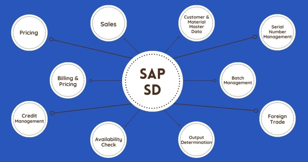 Top Interview Questions Sap SD ZebLearn